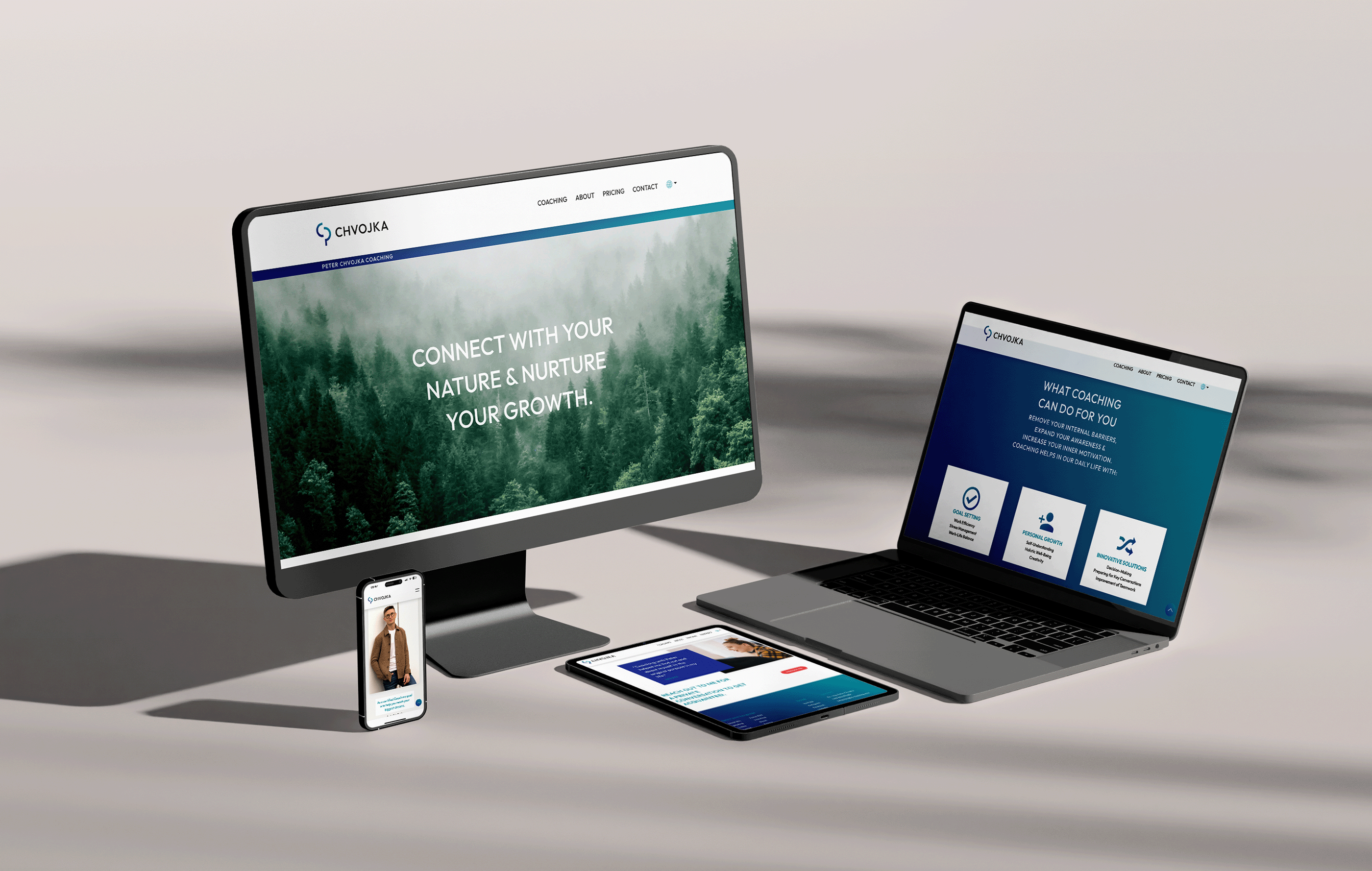 andremetzen_montjoie