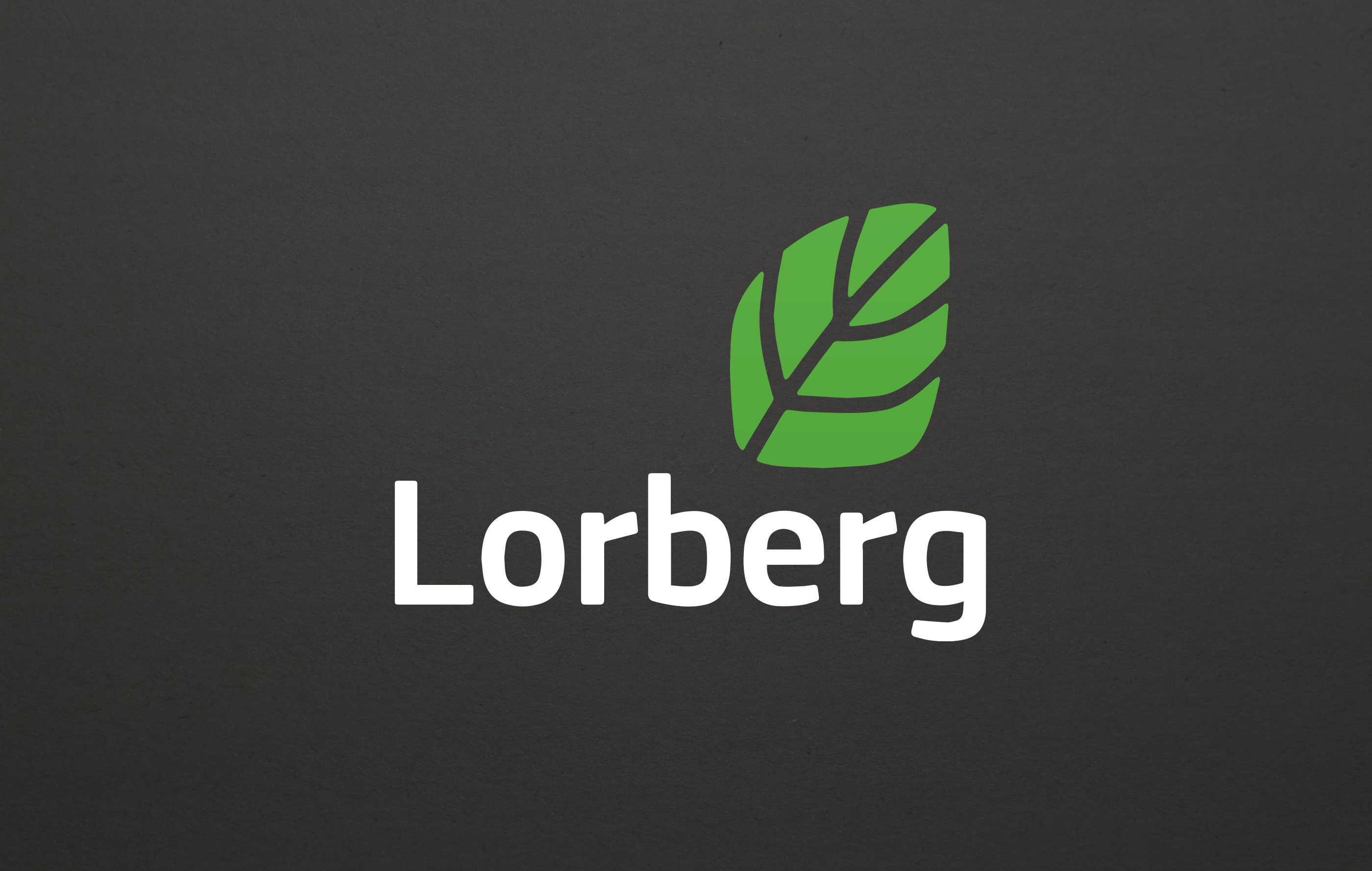andremetzen_lorberg