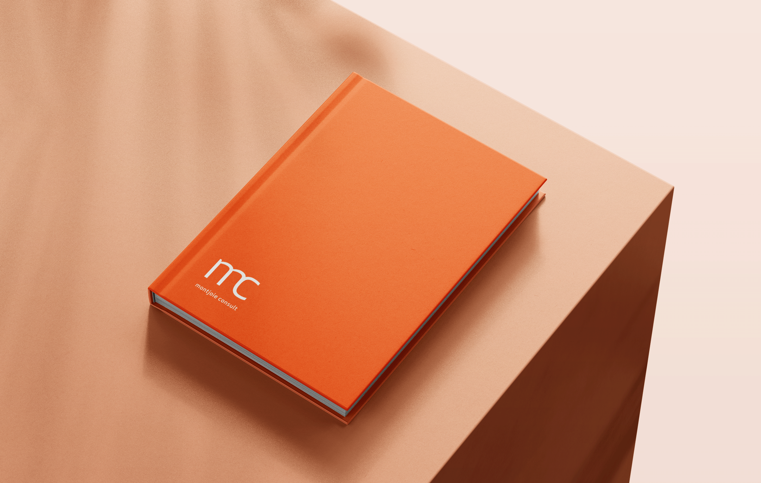 andremetzen_montjoie