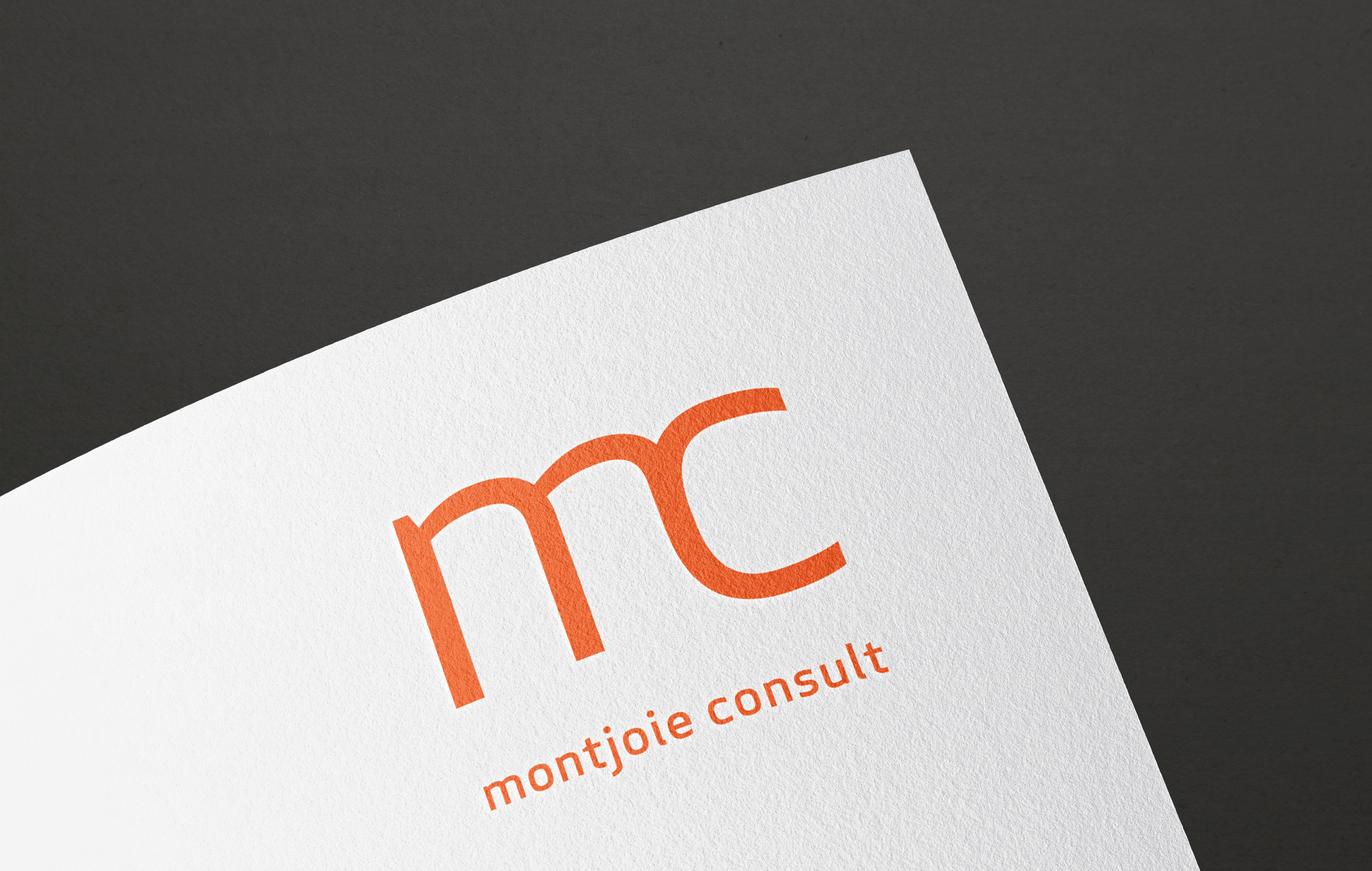 andremetzen_montjoie